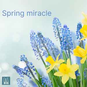 Spring miracle